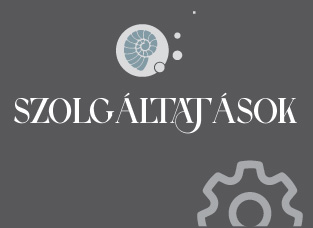SZOLGÁLTATÁSOK »